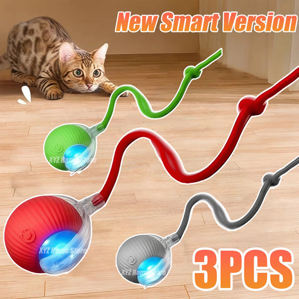 Smart Pet Play Ball